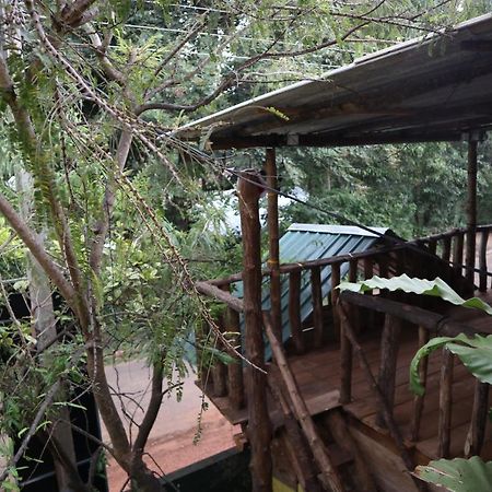 Agra Aurvedic Homestay And Restaurant Sigiriya Exterior photo